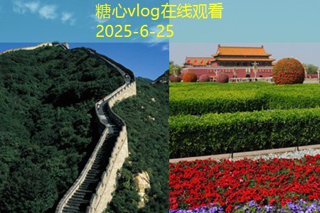 固态发酵白酒酿造方法解析与实践指南