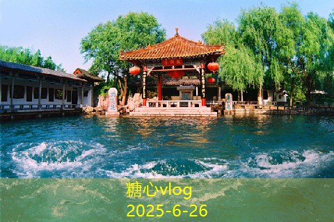 大润发选购白酒的实用技巧与推荐指南