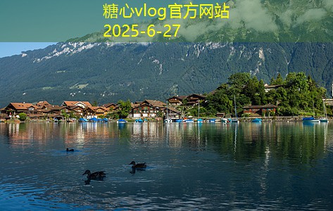 如何在购买白酒时找到性价比高的实惠价格