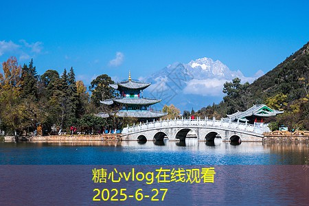 如何在家酿造美味白酒的详细步骤和技巧