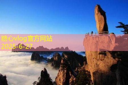 如何自制酿白酒的详细步骤与技巧分享