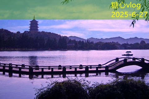 如何在家庭中酿造出优质的白酒
