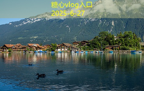 如何在市场上选择性价比高的低档白酒
