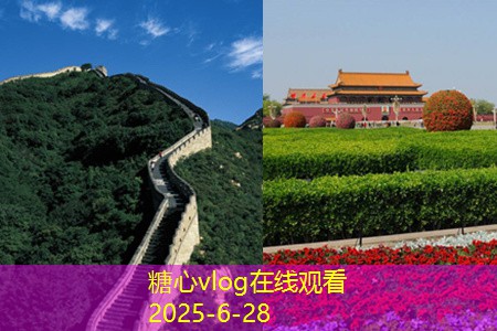 如何挑选优质白酒让你轻松成为品酒高手