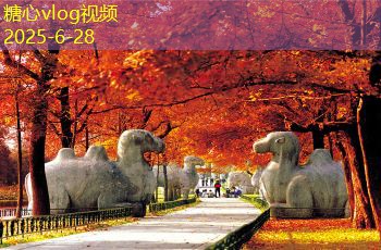 存散白酒的真实品质与市场口碑深度解析
