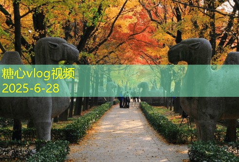存白酒的注意事项与最佳存储方法解析