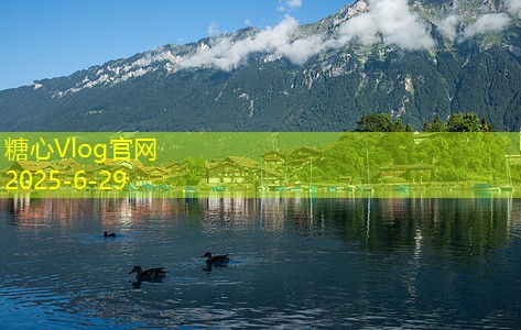 小型白酒酿酒配方揭秘让你在家轻松酿造美酒