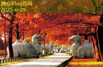 常州白酒保存方法的最佳技巧与注意事项