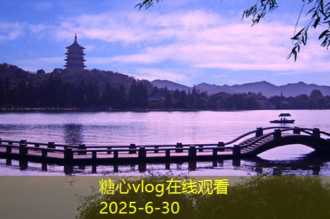 怎么自制猕猴桃白酒让你惊艳的技巧与步骤