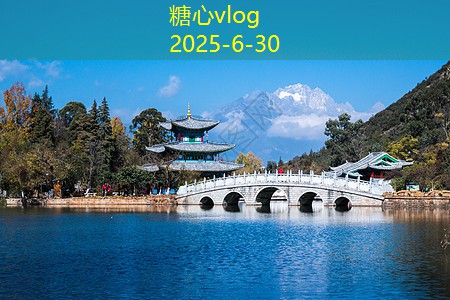 抖音购买白酒的最佳选择技巧与建议