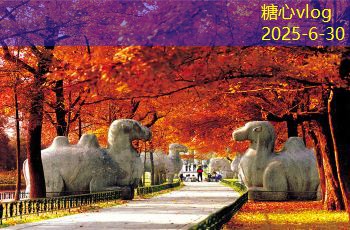 散装白酒加盟排行榜最新分析与市场趋势解读