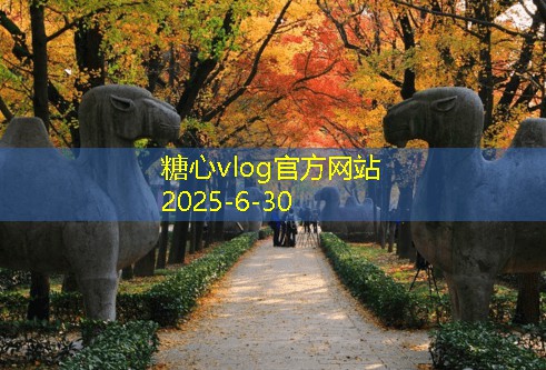 散装白酒的封装与存放技巧全攻略